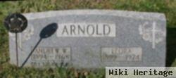 Andrew W Arnold