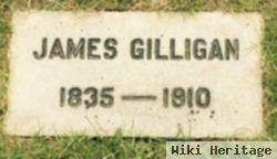 James Gilligan