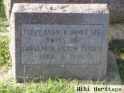 Terry Lynn Tigges