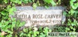 Sheila Rose Carver