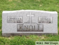 Charles B. Knoll