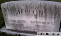 Evelyn Rudacille Mellon