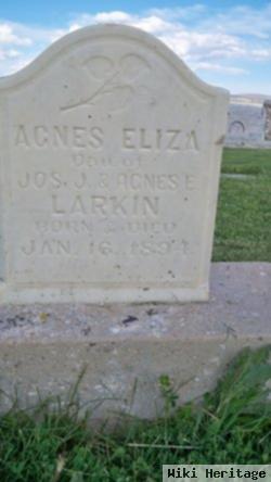 Agnes Eliza Larkin