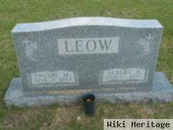 Paudie M. Leow