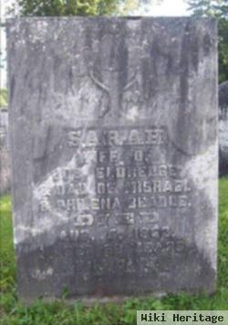 Sarah Beadle Eldredge