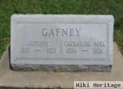 Catharine Noel Gafney