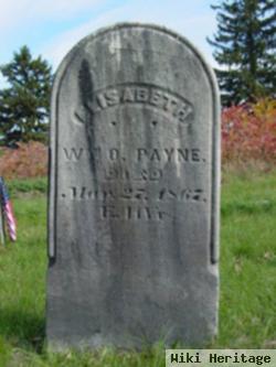 Elisabeth Payne