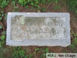 Elizabeth J Crandall Eaton