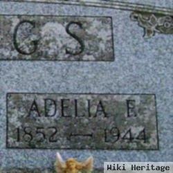 Adelia F Devoe Briggs