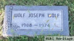 Joseph Wolf