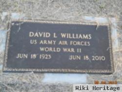 David L Williams