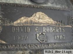David E Roberts