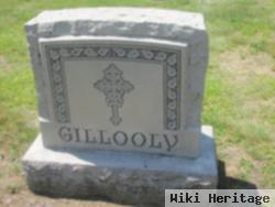 Michael J. Gillooly