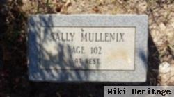 Sarah A. "sally" Mullinix