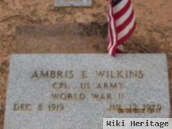 Ambris Edwin Wilkins