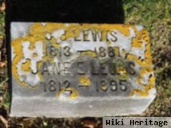 Jane E. Jenkins Lewis