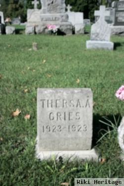 Theresa A. Gries