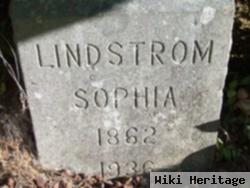 Sophia Olson Lindstrom
