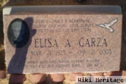 Elisa A. Aguilar Garza