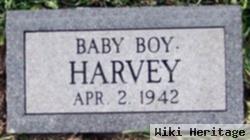 Baby Boy Harvey