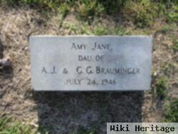 Amy Jane Brauminger