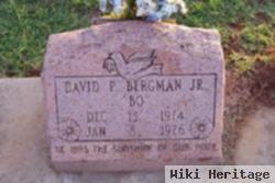 David "bo" P Bergman, Jr