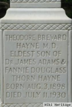 Dr Theodore Brevard Hayne