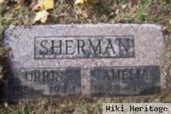 Amelia Sherman