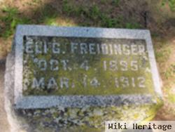 Eli G Freidinger