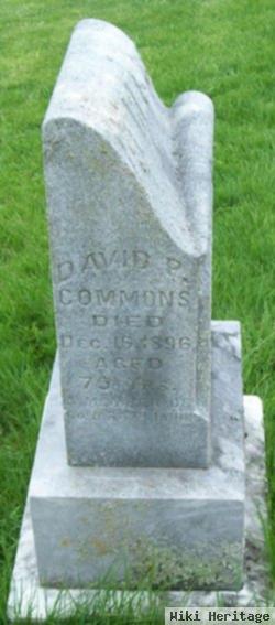 David P Commons