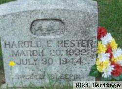 Harold E Hester