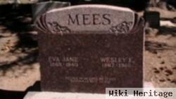 Eva Jane Mees