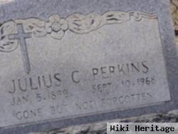 Julius C Perkins