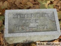 Mahala Flint Cook