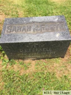 Sarah N. Foote Fenkell