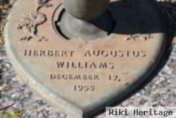 Herbert Augustus Williams