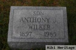 Anthony J Wilker