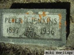 Peter J Jenkins