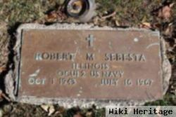 Robert M. Sebesta