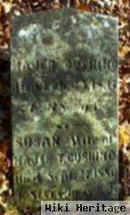 Susannah C Cook Cushing