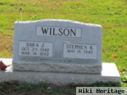 Sara J. Perkins Wilson