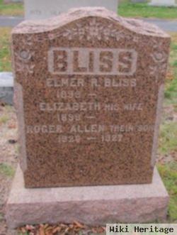 Roger Allen Bliss