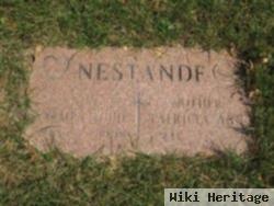 James Todd Nestande