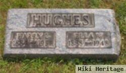 Harry Louis Hughes