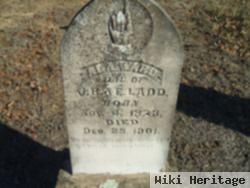 Ada Ward Ladd