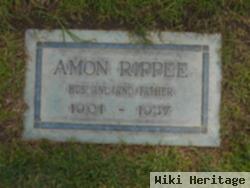 Walter Amon Rippee