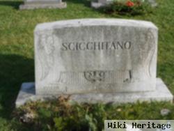 Frank Scicchitano