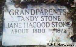 Tandy Stone