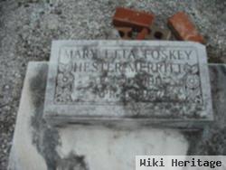 Maray Etta Foskey Hester Merritt