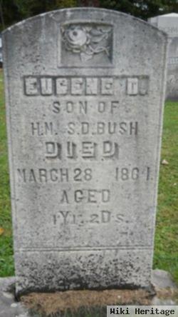 Eugene D Bush